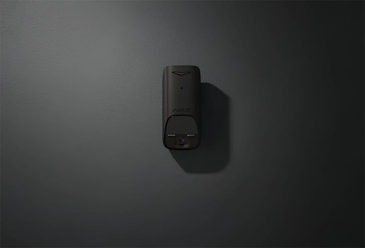 Visual verification of alarms